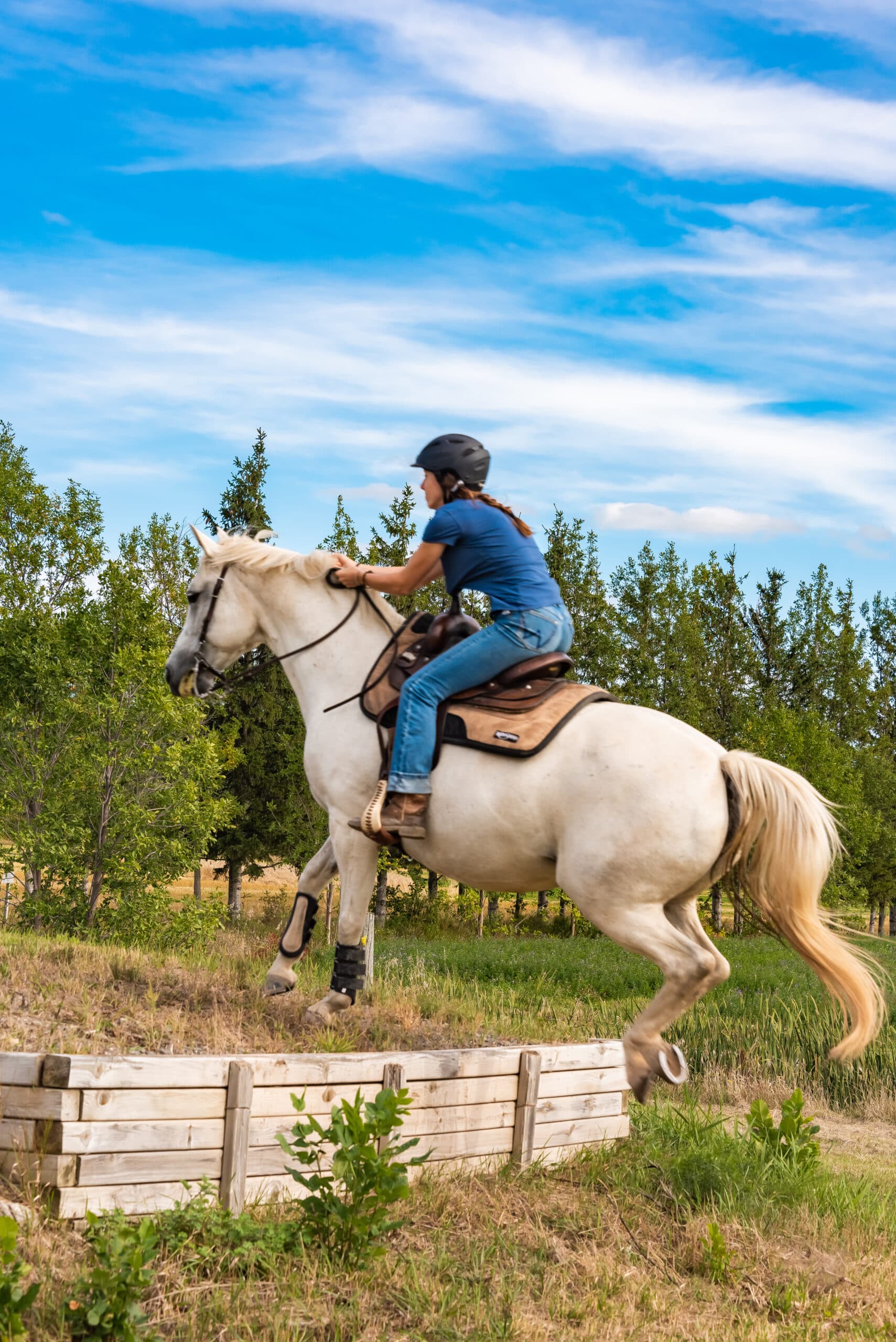 Équitation classique - CHEVAL QUEBEC