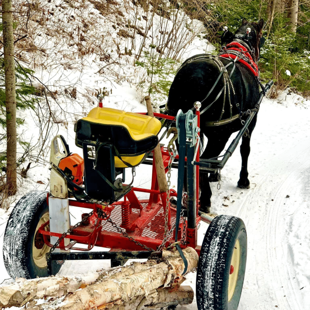 Débardage traction cheval